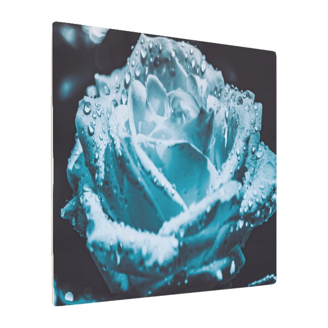 Impresión En Metal Desgloses Sobre Un Rosa De Zen Azul (Angulado)