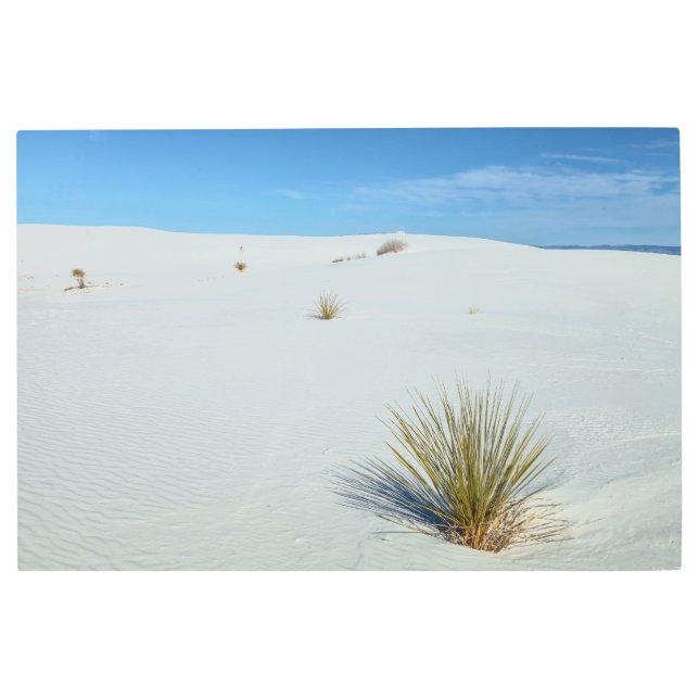 Impresión En Metal Desierto de las Arenas Blancas (Anverso)