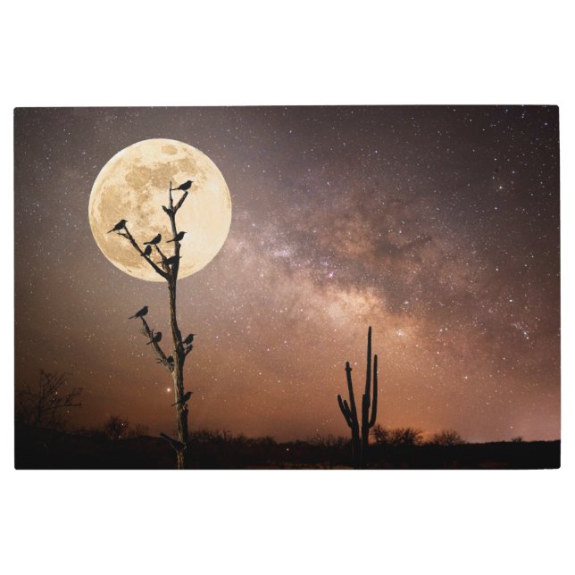 Impresión En Metal Desiertos | Cactus de Saguaro con aves en el desie (Anverso)