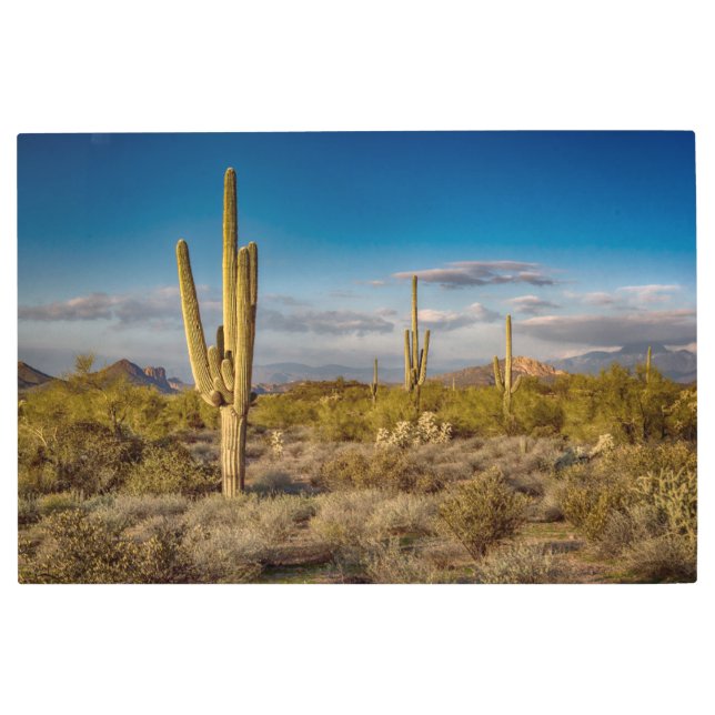 Impresión En Metal Desiertos | Montañas de Superstición, Arizona (Anverso)