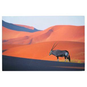 Impresión En Metal Desiertos   Namib Desert Oryx