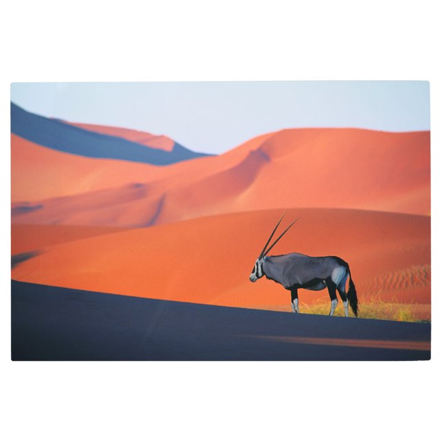 Impresión En Metal Desiertos | Namib Desert Oryx (Anverso)