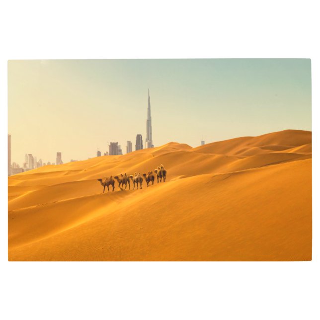 Impresión En Metal Desiertos | Vista aérea de Dubai con camellos (Anverso)