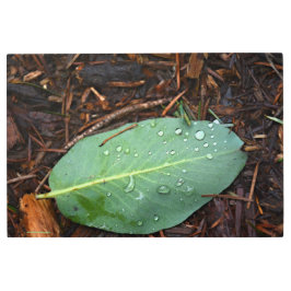 Impresión En Metal Dew Dappling Leaf