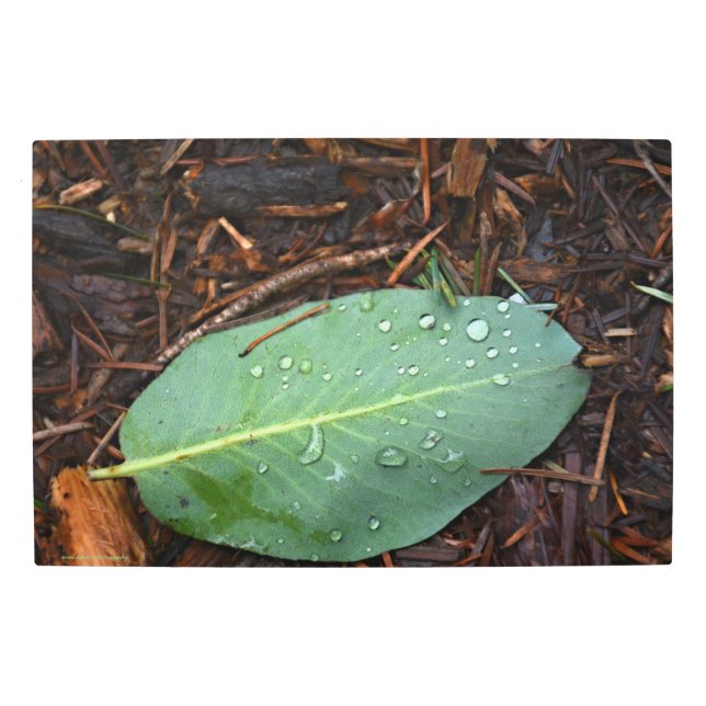 Impresión En Metal Dew Dappling Leaf (Anverso)