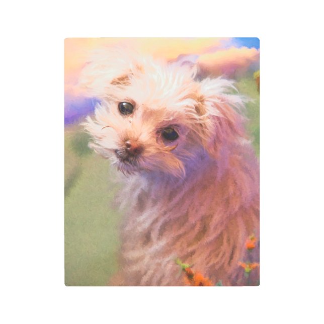 Impresión En Metal Día 1 de Cachorro de Rescate en Malta (Anverso)