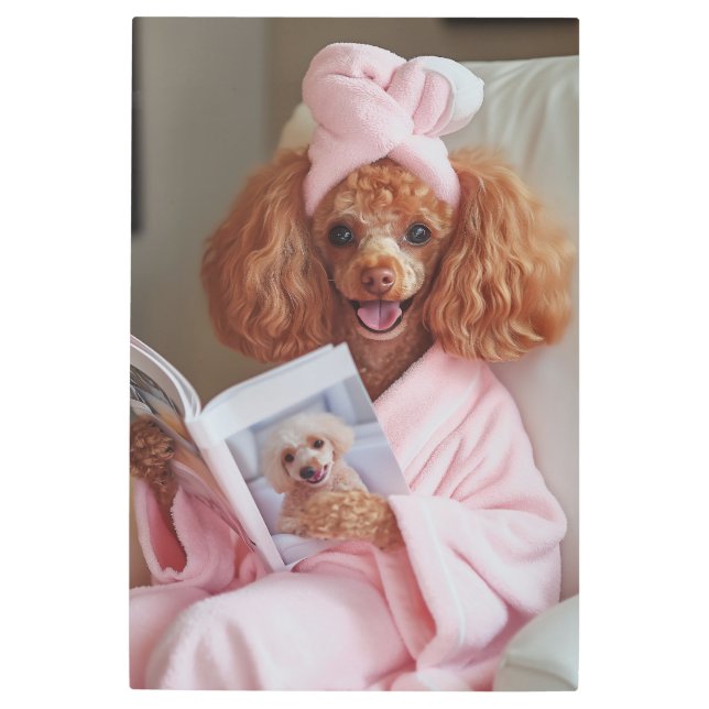 Impresión En Metal Día de lectura de canapé (Anverso)