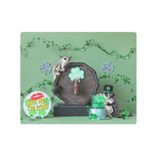 Impresión En Metal Día de San Patricio