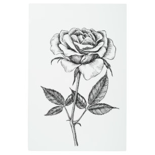Impresión En Metal dibujo Rosa
