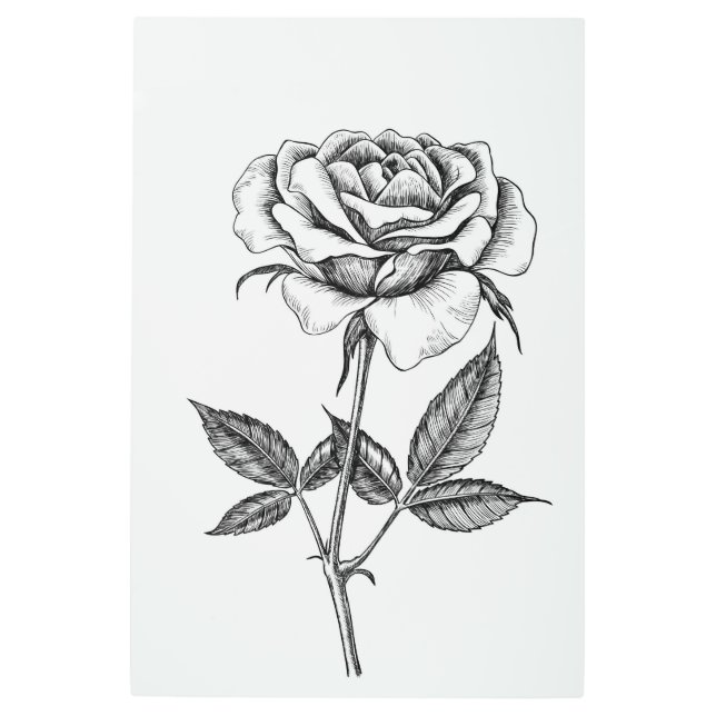Impresión En Metal dibujo Rosa (Anverso)