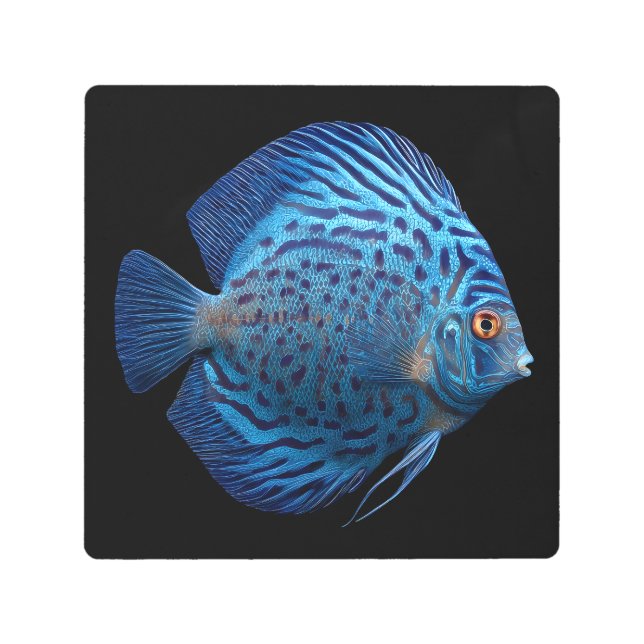 Impresión En Metal Discus Fish (Anverso)