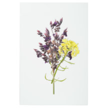 Diseño botánico de lavanda y flor silvestre amaril