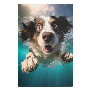 Impresión En Metal Diseño de Perro Emocionado Nadando Subacuático