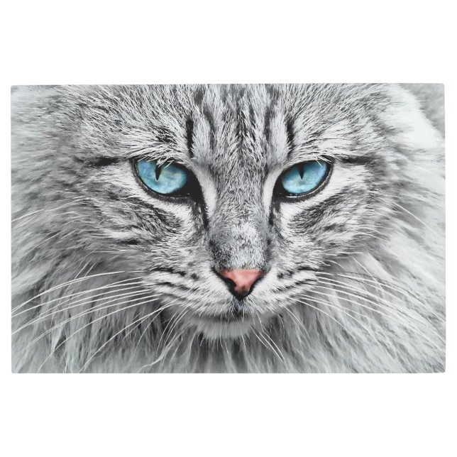 Impresión En Metal Diseño fractal de cara de gato-10682 (Anverso)