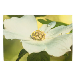 Impresión En Metal Dogwood del Pacífico