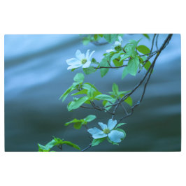 Impresión En Metal Dogwood del Pacífico