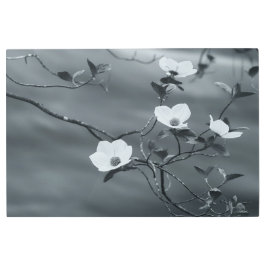 Impresión En Metal Dogwoods