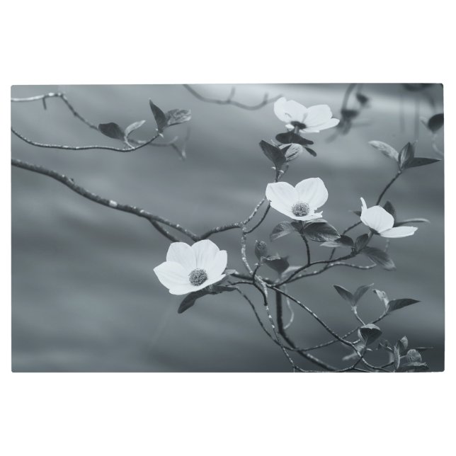 Impresión En Metal Dogwoods (Anverso)