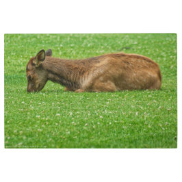 Impresión En Metal Dormir pequeño uno