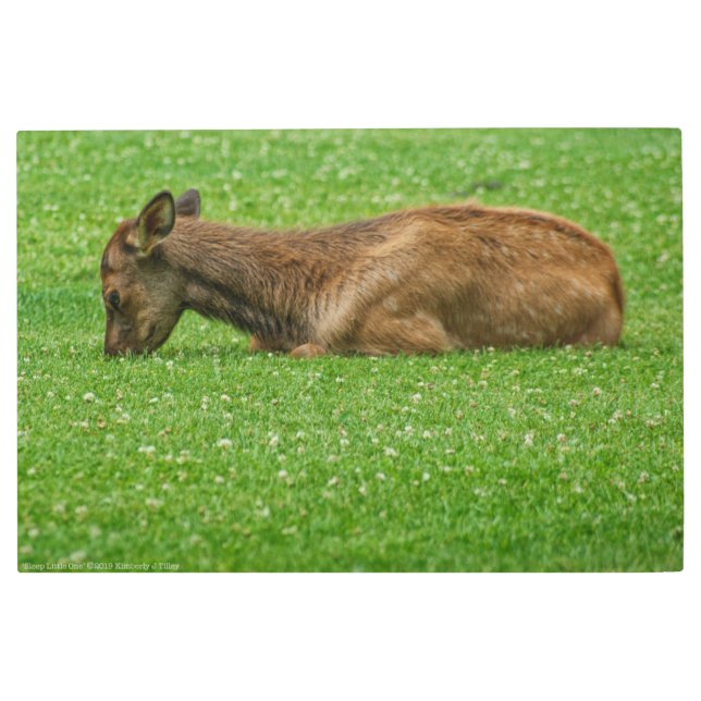 Impresión En Metal Dormir pequeño uno (Anverso)