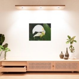 Impresión En Metal Dos Calla Lilies Floral Blanca