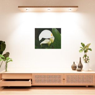 Impresión En Metal Dos Calla Lilies Floral Blanca