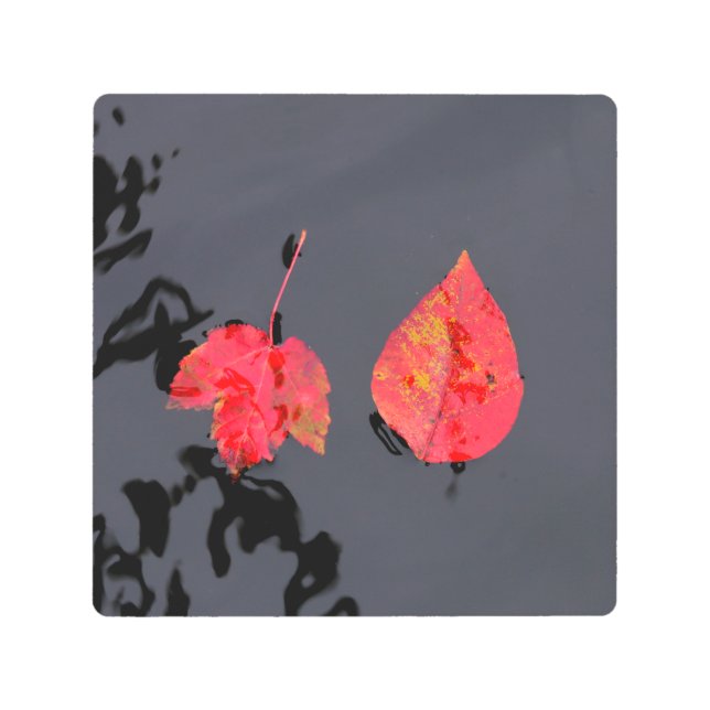 Impresión En Metal Dos hojas yendo a ninguna parte (Anverso)