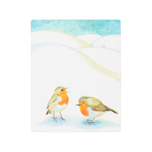 Impresión En Metal Dos pechos rojos Robin en invierno