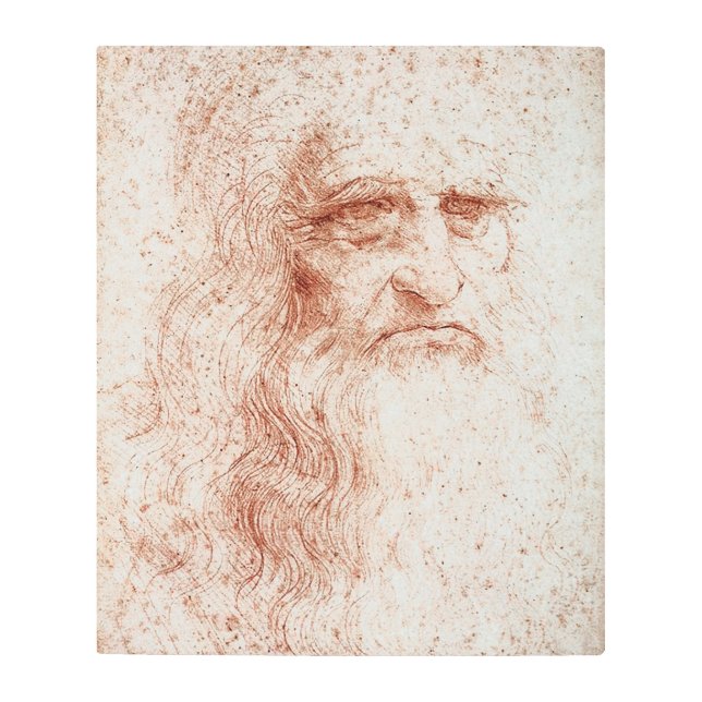 Impresión En Metal El autorretrato de Leonardo da Vinci (Anverso)