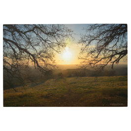 Impresión En Metal El camino de primavera