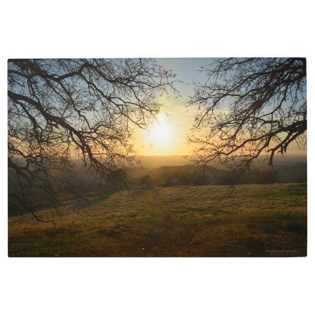 Impresión En Metal El camino de primavera (Anverso)