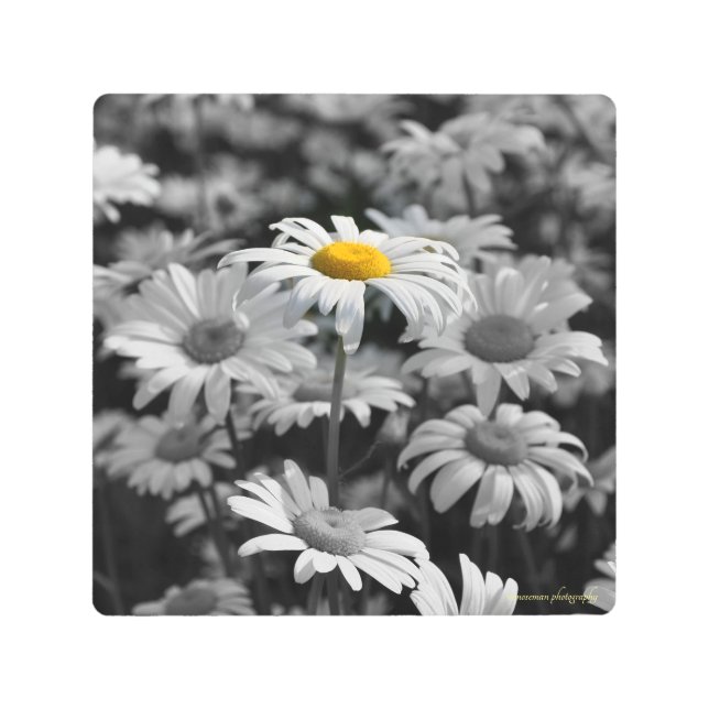 Impresión En Metal El destaque (Anverso)