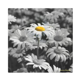 Impresión En Metal El destaque