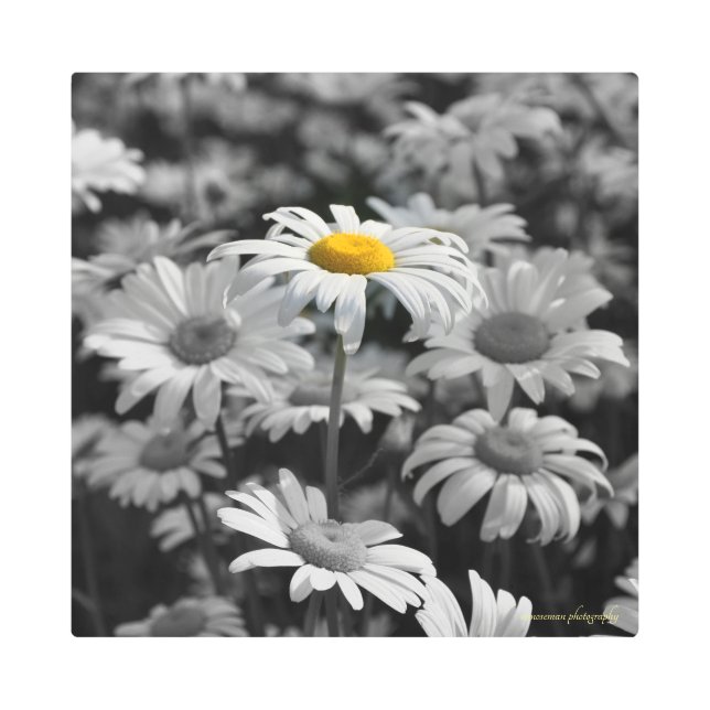 Impresión En Metal El destaque (Anverso)