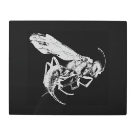 Impresión En Metal El estilo minimalista negro y blanco insectos abej
