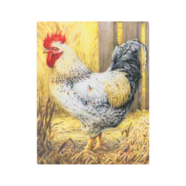 Impresión En Metal El gallo de los graneros (Anverso)