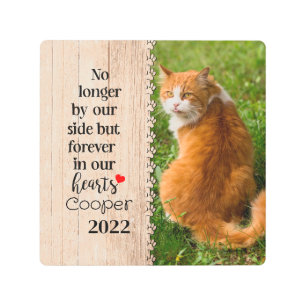 Impresión En Metal El Gato Ya No Está A Nuestro Lado, Sino Por Siempr