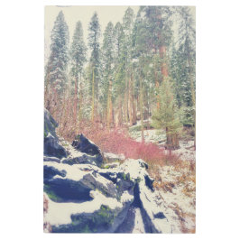 Impresión En Metal El invierno en el bosque