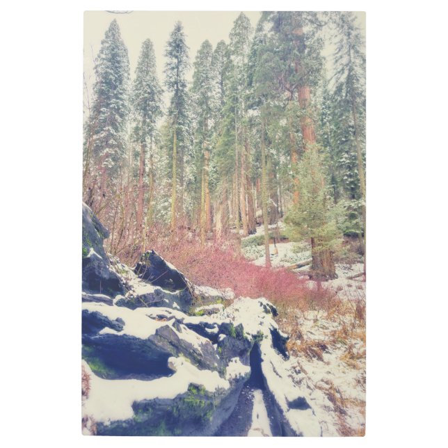 Impresión En Metal El invierno en el bosque (Anverso)