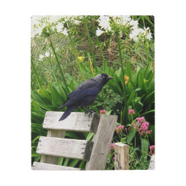 Impresión En Metal El jubón en el jardín