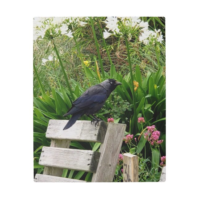 Impresión En Metal El jubón en el jardín (Anverso)