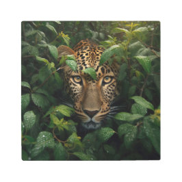 Impresión En Metal El majestuoso leopardo en la jungla exuberante: Ar