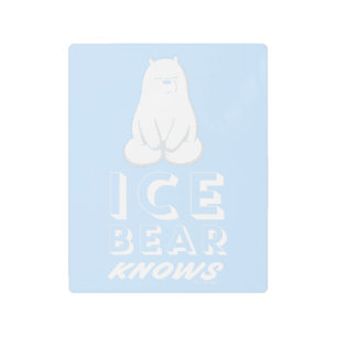 Impresión En Metal El Oso de Hielo Sabe