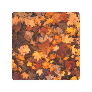 Impresión En Metal el otoño