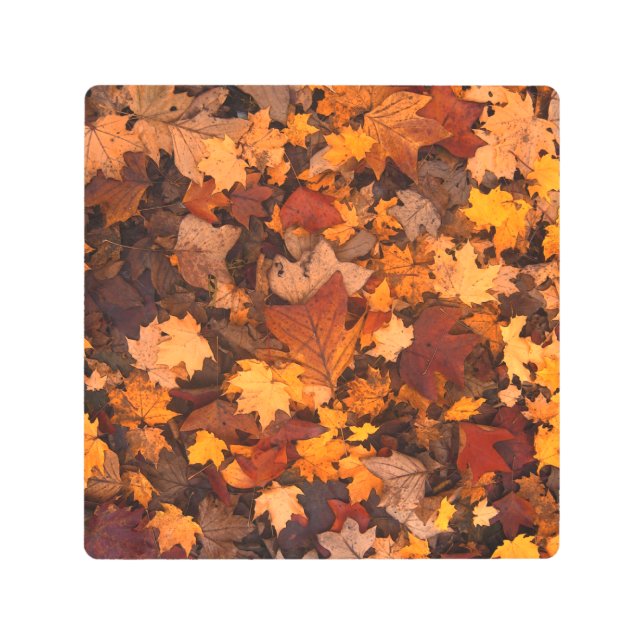 Impresión En Metal el otoño (Anverso)