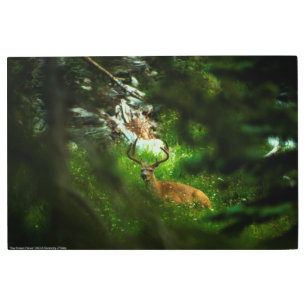 Impresión En Metal El príncipe forestal