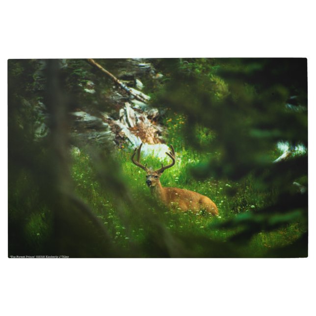 Impresión En Metal El príncipe forestal (Anverso)