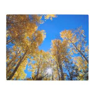 Impresión En Metal El sol arde por los árboles