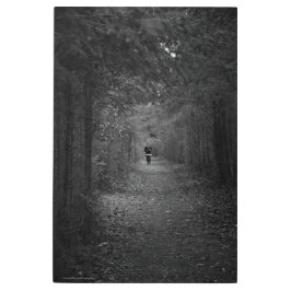 Impresión En Metal El trotamundos