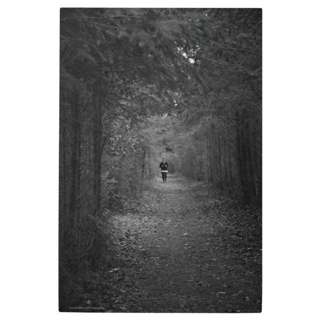 Impresión En Metal El trotamundos (Anverso)